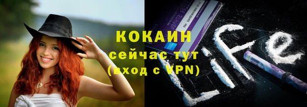 кокс Ельня