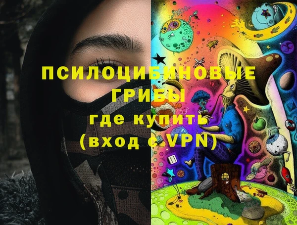 винт Елабуга