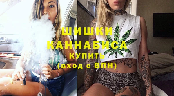 кокс Ельня