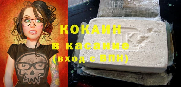 кокс Ельня