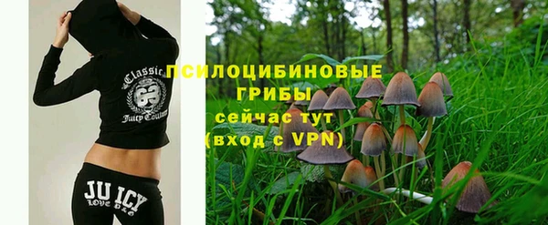 кокс Ельня