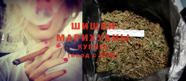 кокс Ельня